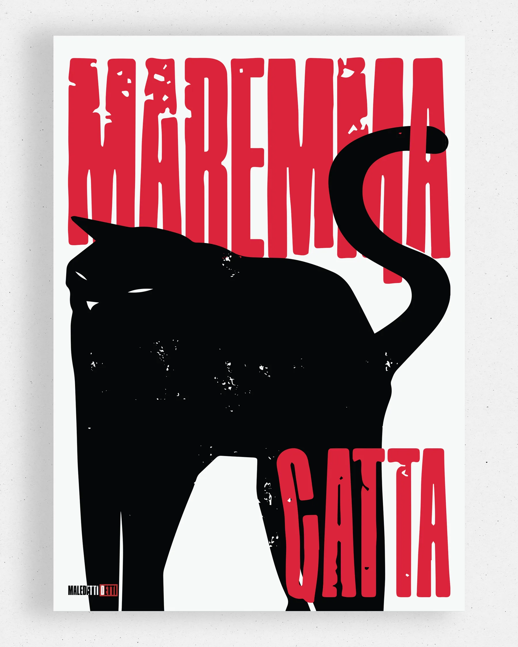 MAREMMA GATTA