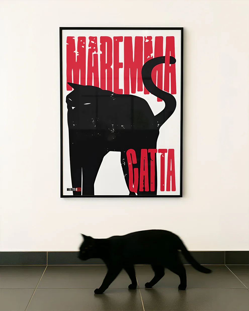 MAREMMA GATTA