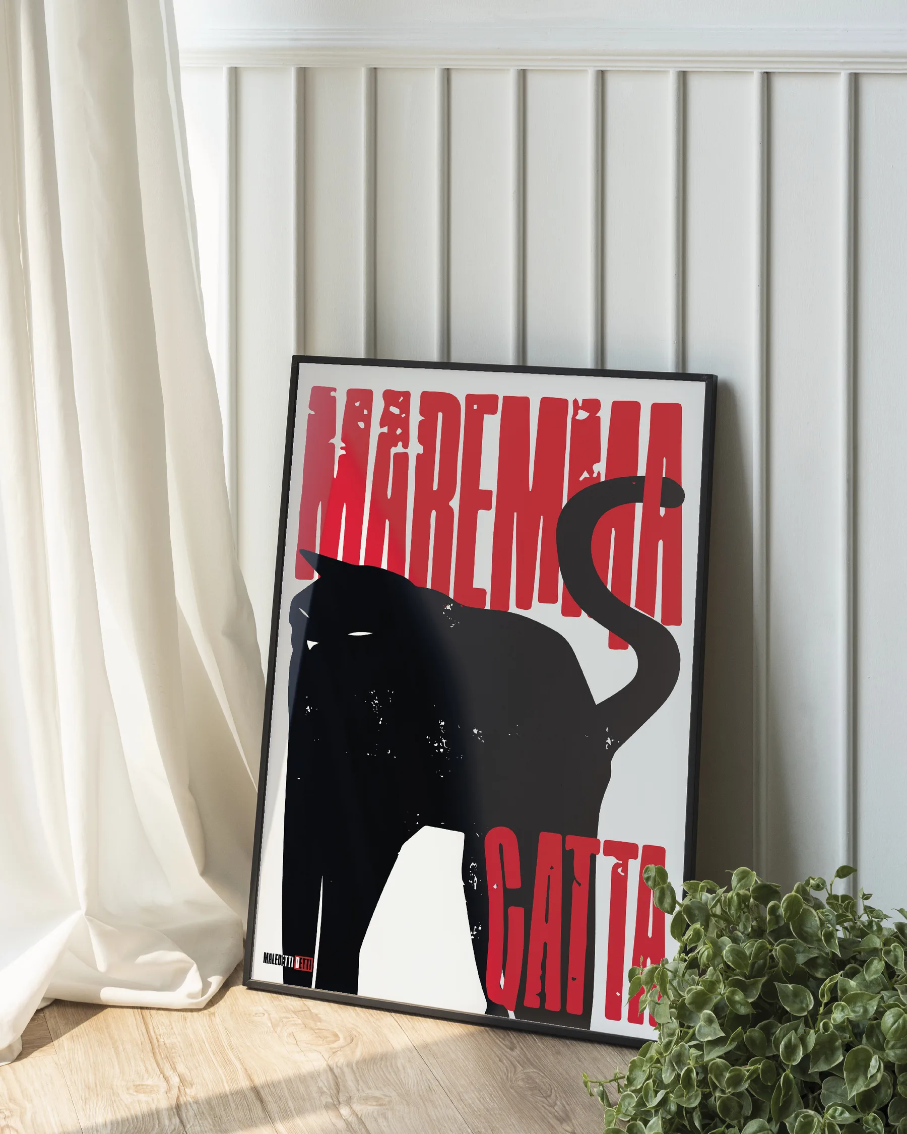 MAREMMA GATTA