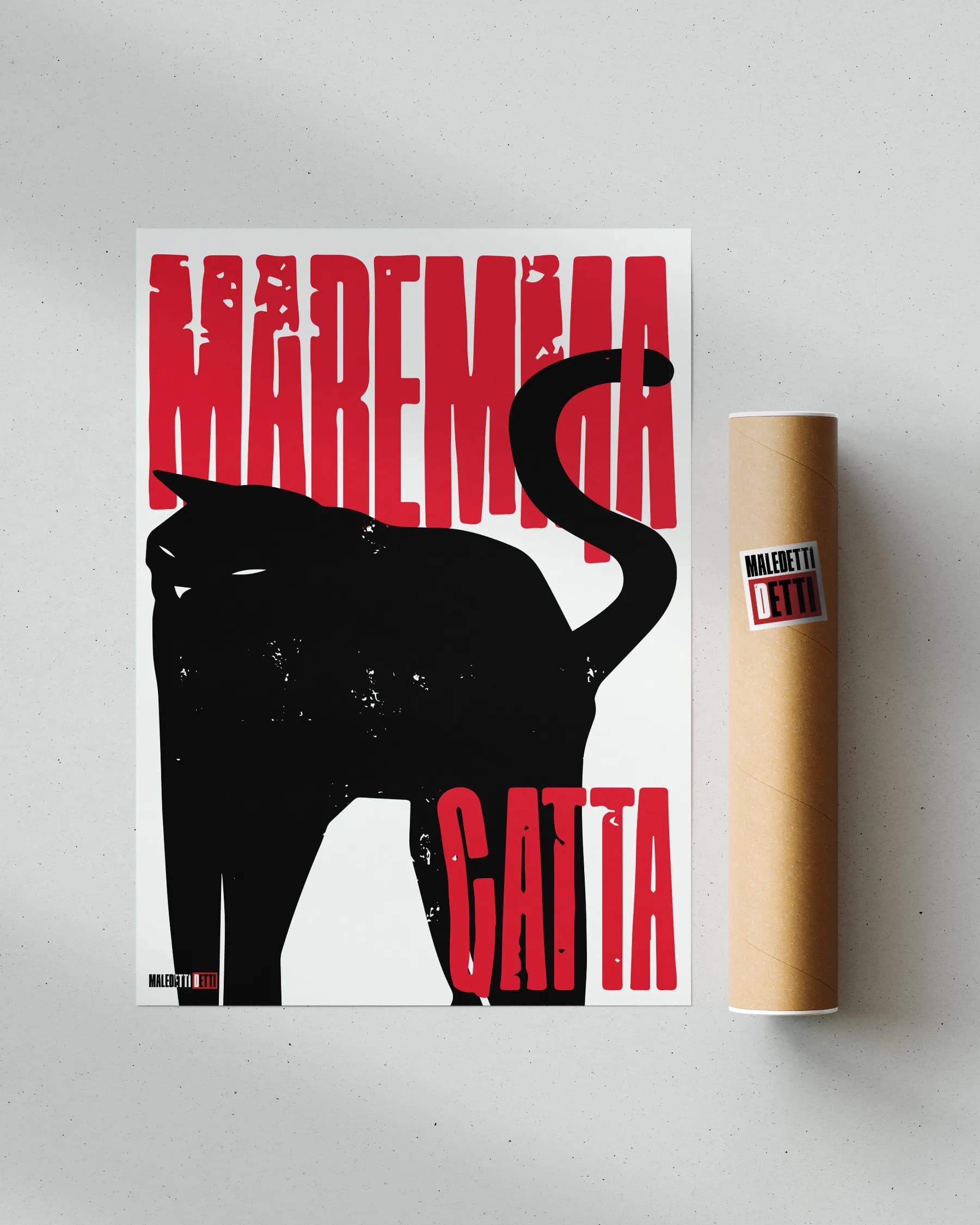 MAREMMA GATTA
