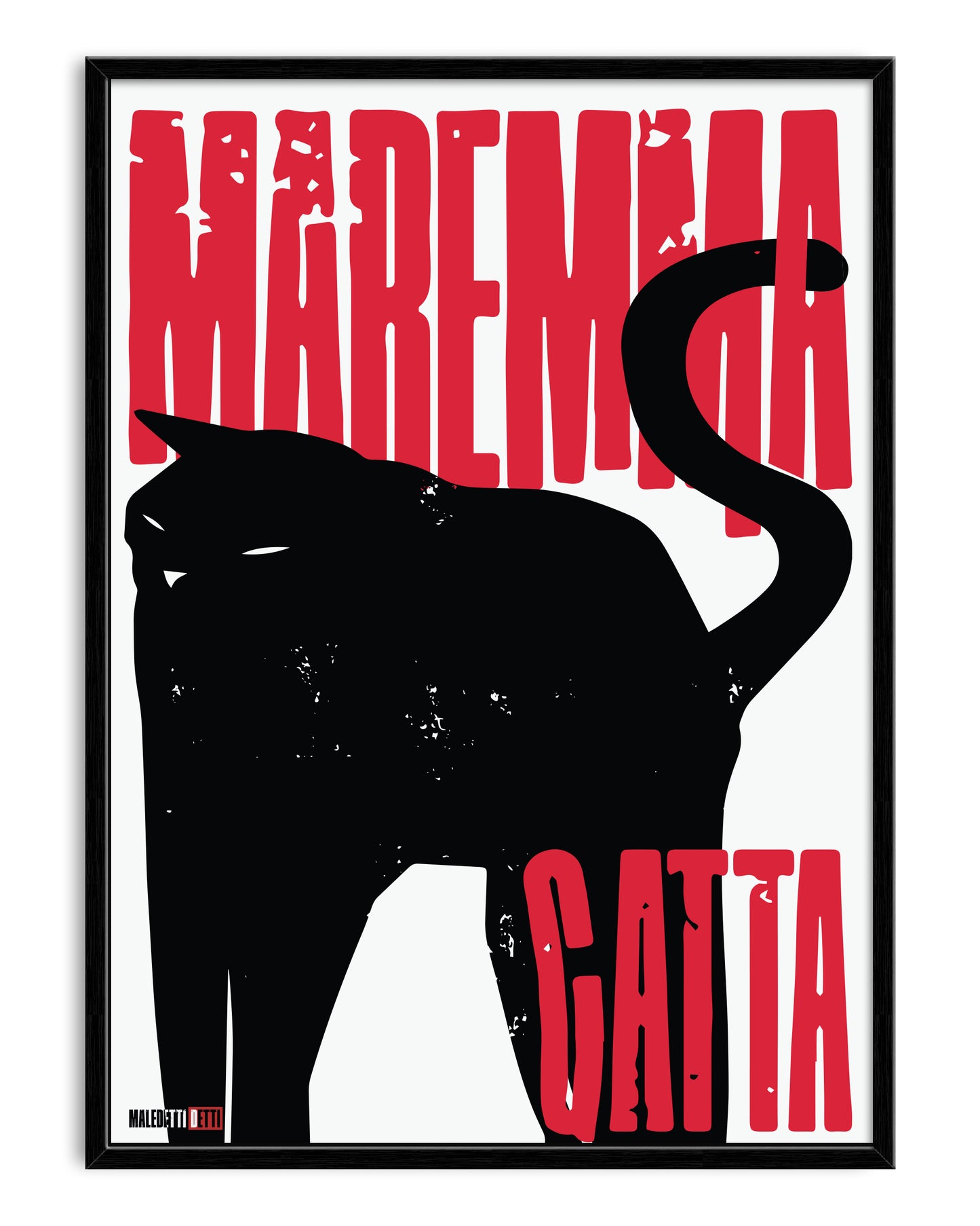 MAREMMA GATTA