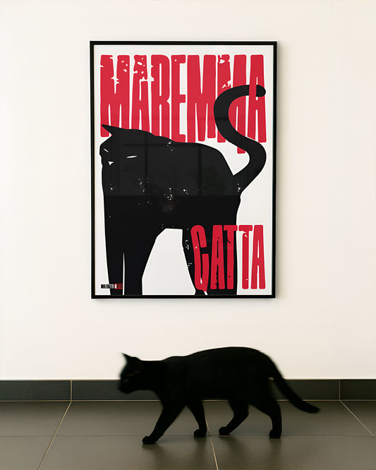 MAREMMA GATTA